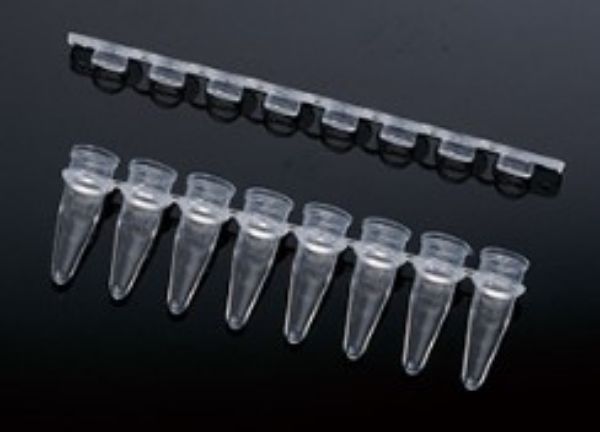 Picture of PCR Tube 0.2ml 8-Strip Clear, with Flat Caps (120)