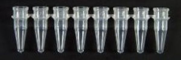 Picture of PCR Tube 0.2ml 8-Strip Clear, without Cap (125)