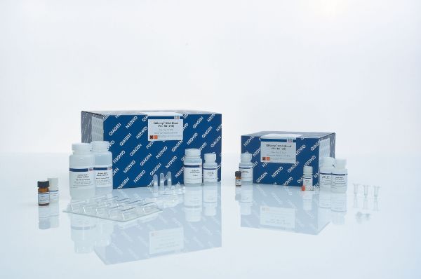 Picture of QIAamp DNA Blood Mini Kit (50)