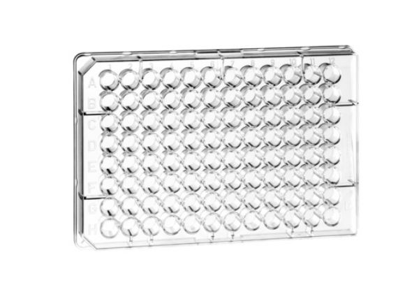 Picture of 96 well PS F-btm Microplate