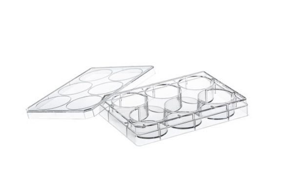 Picture of Greiner (2mL) Plate, 6-Well, TC-Treated, Polystyrene, F-Bottom, Sterile, Clear