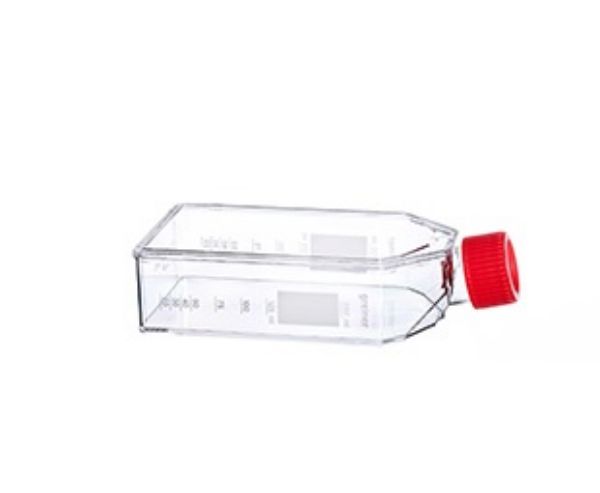 Picture of Greiner (250mL) Flask, 75cm2, Treated, Polystyrene, Rectangular, Canted Neck, Sterile
