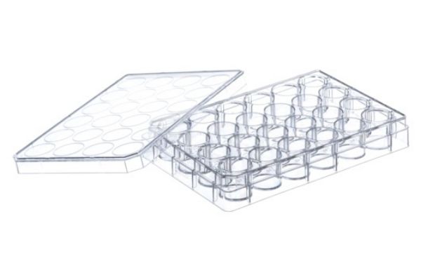 Picture of Greiner (1mL) Plate, 24-Well, TC-Treated, Polystyrene, F-Bottom, Sterile, Clear 