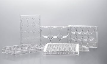 Picture of Jet Biofil - 24-Well Plate, 100pcs/cs
