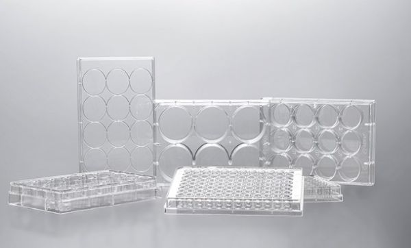 Picture of Jet Biofil (6-7mL) Plate, 12-Well, TC-Treated, Polystyrene, F-Bottom, Sterile, Clear