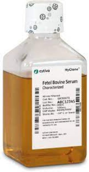 Picture of Characterized Fetal Bovine Serum ( FBS ) , U.S. Origin , 500ml