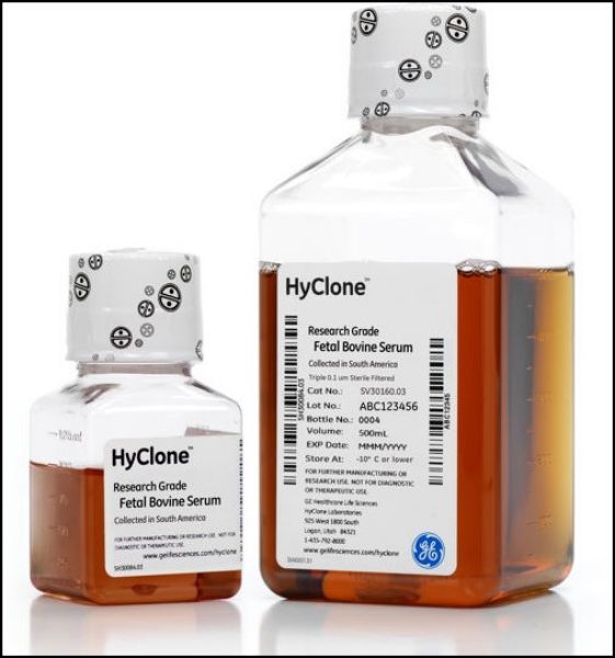 Picture of Fetal Bovine Serum (FBS), Research Grade, Heat Inactivated, South American (SA), 500ml