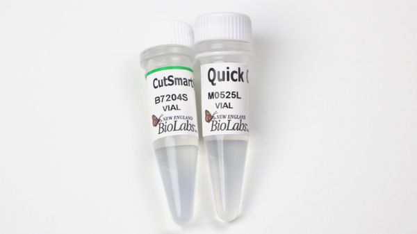 Picture of (L) Quick CIP - 5,000 units