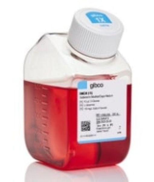 Picture of (FP) DMEM, High Glucose, Pyruvate, 500ml