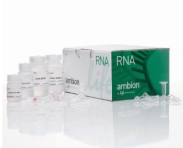 Picture of Purelink RNA mini kit (250 preps)