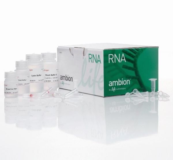 Picture of Purelink RNA mini kit (250 preps)