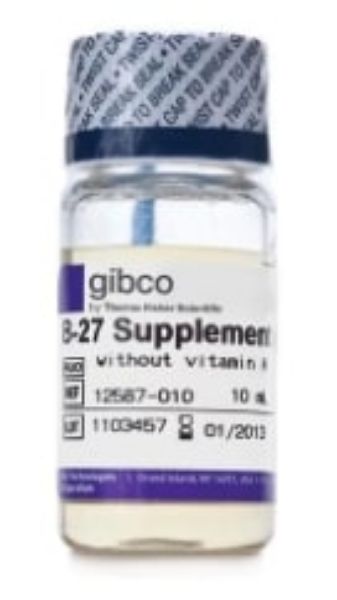 Picture of B-27 Serum Minus Vitamin A (50X), liquid, 10ml
