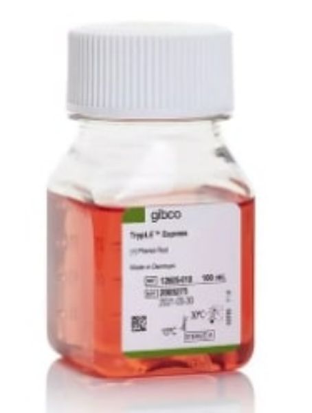 Picture of Tryple Express W/ Phenol Red, 100ml
