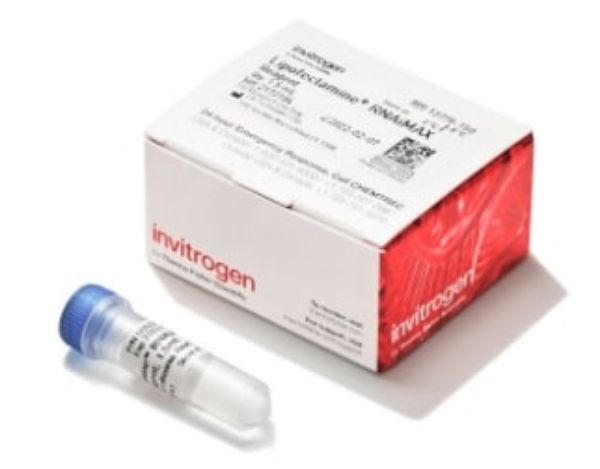 Picture of Lipofectamine RNAiMAX Transfection Reagent (1.5ml)