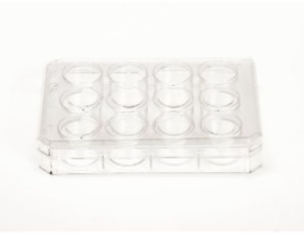 Picture of NUNC (2mL) Plate, 12-Well, TC-Treated, Polystyrene, F-Bottom,  Sterile, Clear 