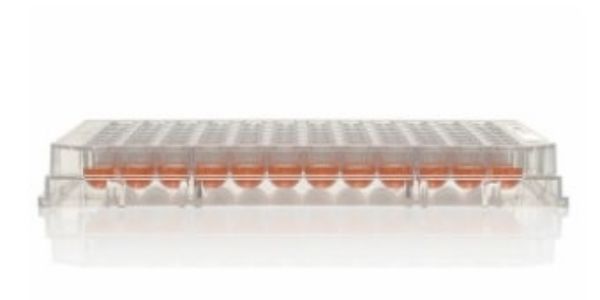 Picture of Nunc 96-Well Polystyrene Round Bottom Microwell Plates, cell culture treated, sterile, with lid