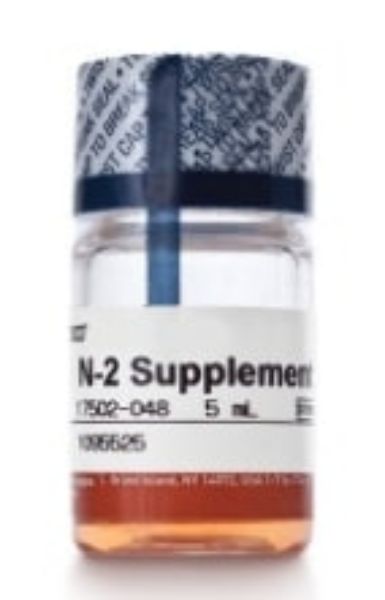 Picture of N2 Supplement, (100x) 5ml