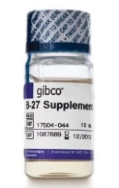 Picture of B-27 Serum-Free Supplement (50X), liquid, 10ml