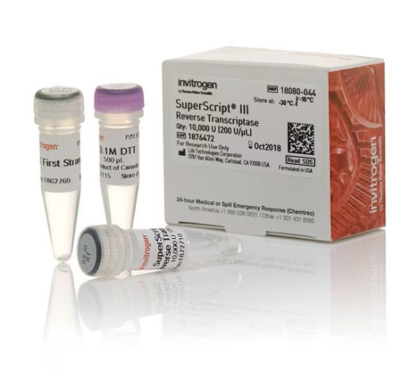 Picture of SuperScript III Reverse Transcriptase (10,000 units)