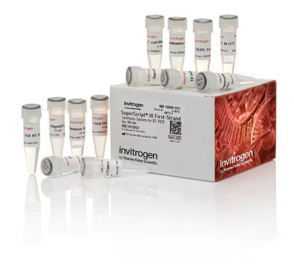 Picture of Superscript III First Strand Synthesis System