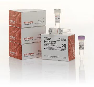 Picture of SuperScript III Reverse Transcriptase (4 x 10,000 units)