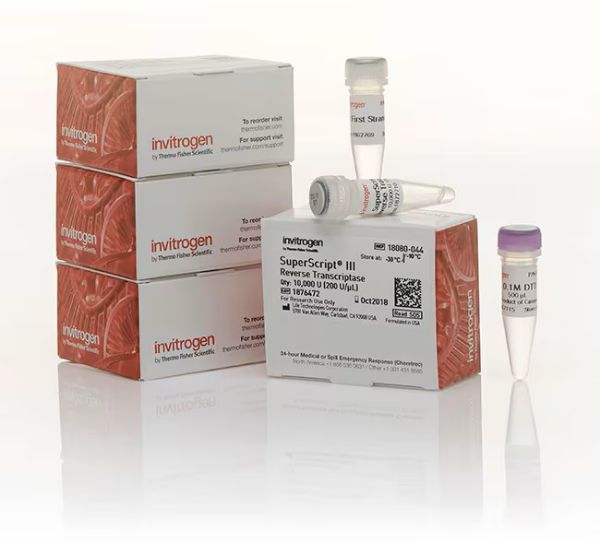 Picture of SuperScript III Reverse Transcriptase (4 x 10,000 units)