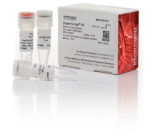 Picture of SuperScript IV Reverse Transcriptase (4 x 10,000 units)