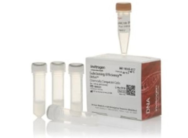 Picture of Subcloning Efficiency DH5alpha Chemically Competent Cells