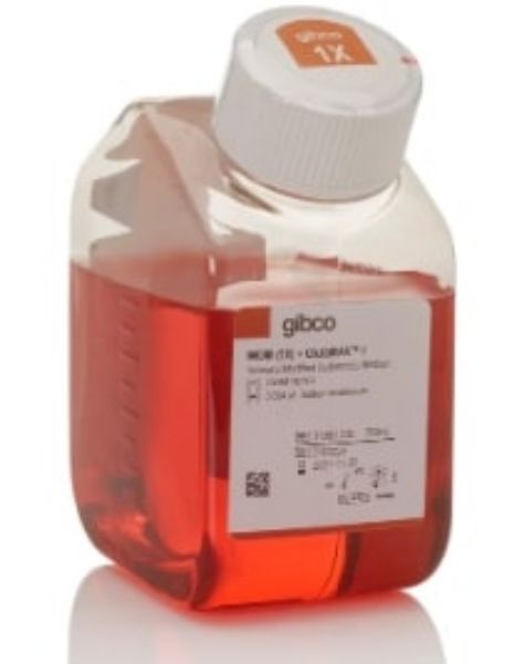 Picture of IMDM, Glutamax Suppplement, 500ml