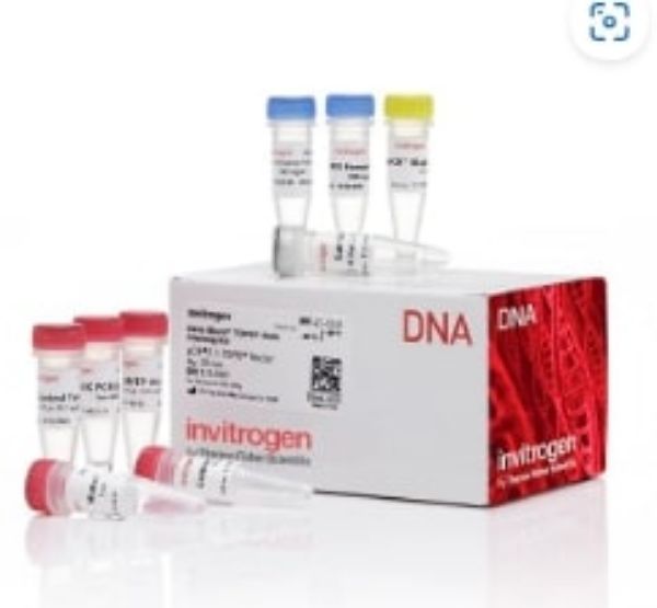 Picture of Zero Blunt TOPO PCR Cloning Kit without Competent Cells