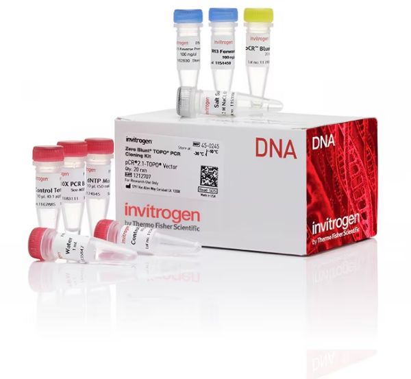 Picture of Zero Blunt TOPO PCR Cloning Kit (without competent cells)
