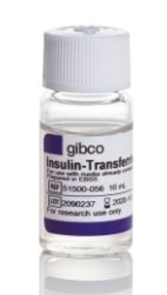 Picture of Insulin-Trans-Sel-X, 10ml