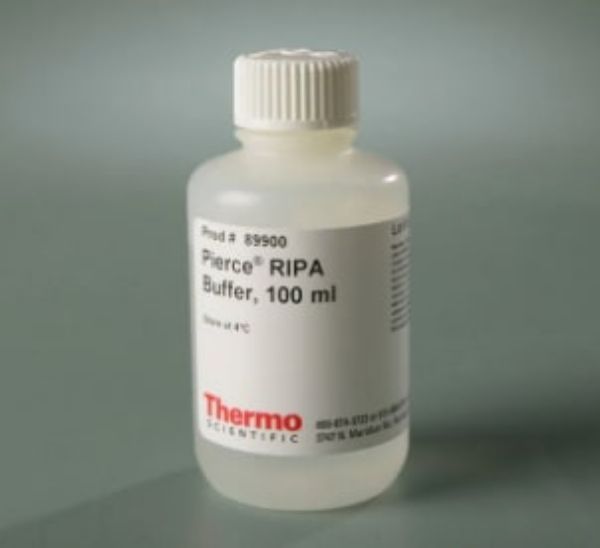 Picture of RIPA Lysis and Extraction Buffer, 100 ml