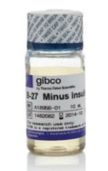 Picture of B-27 Minus Insulin (50x), 10ml