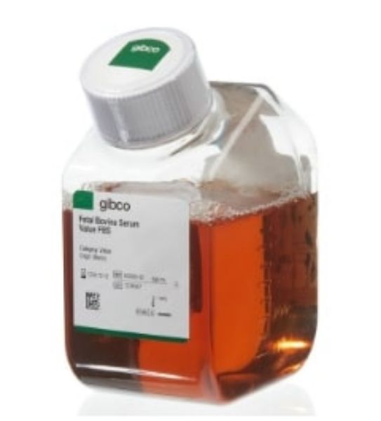 Picture of VALUE FBS, 500ml