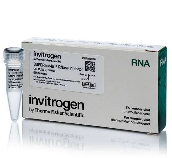 Picture of SUPERase.In RNase Inhibitor (20 U/μL)