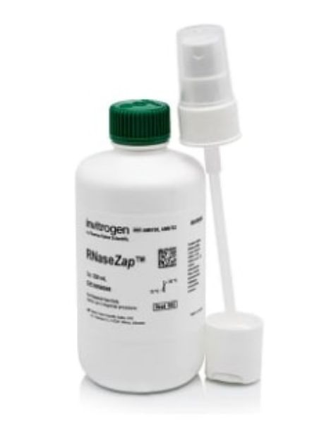 Picture of RNaseZap, 250ml