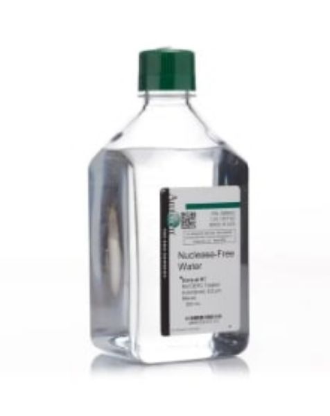 Picture of Nuclease-Free Water (not DEPC-Treated), 500ml 