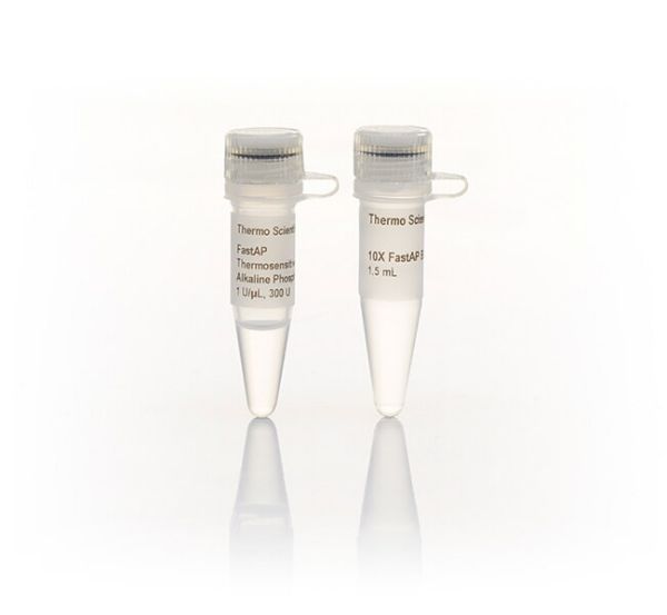 Picture of FastAP Thermosensitive Alkaline Phosphatase (300 units, 1U/ul)