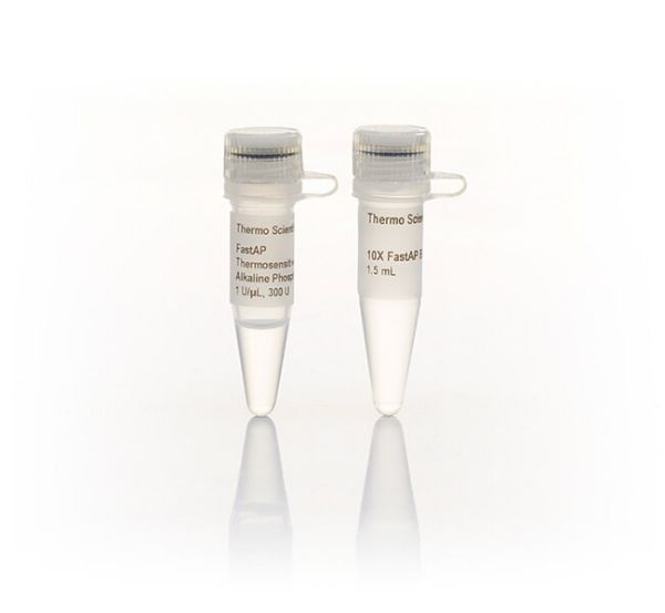 Picture of FastAP Thermosensitive Alkaline Phosphatase (300 u)