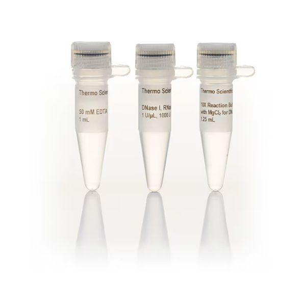 Picture of DNase I, RNase-free (1000 units, 1U/ul)