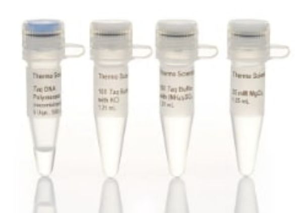 Picture of Taq DNA Polymerase (recombinant) (500u)