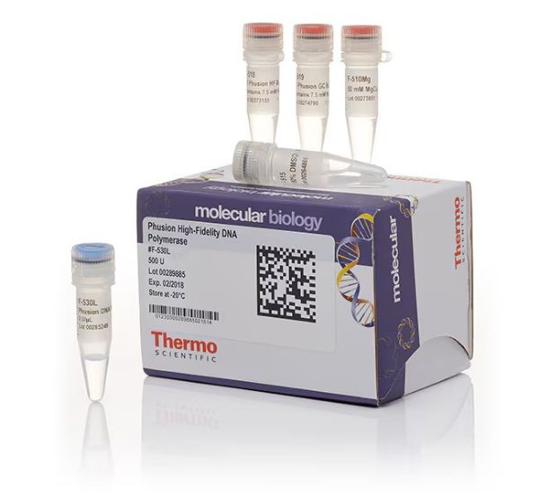 Picture of Phusion High Fidelity DNA Polymerase (500 units, 2U/ul)