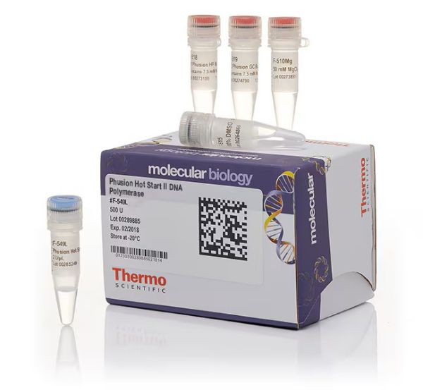 Picture of Phusion Hot Start II DNA Polymerase (500 units, 2U/ul)
