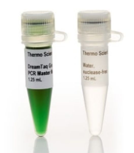 Picture of DreamTaq Green PCR Master Mix (2X) (200 reactions)