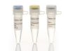Picture of Maxima First Strand cDNA Synthesis Kit for RT-qPCR (200 reactions)
