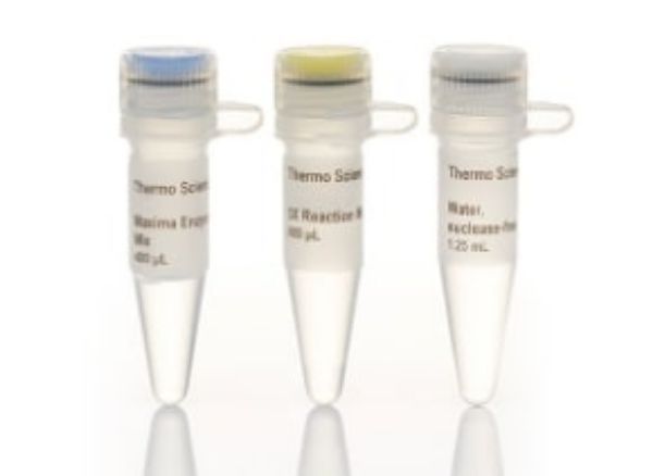 Picture of Maxima First Strand cDNA Synthesis Kit for RT-qPCR (200 reactions)