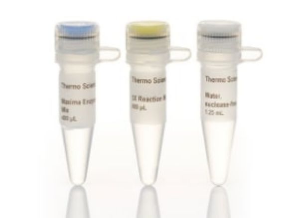 Picture of Maxima First Strand cDNA Synthesis Kit for RT-qPCR, 200 reactions