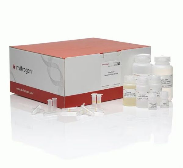 Picture of PureLink Genomic DNA Mini Kit (250 preps)