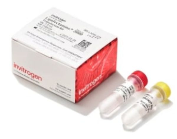 Picture of Lipofectamine 3000 Transfection Reagent (1.5ml)